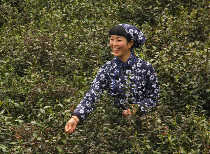 专题1